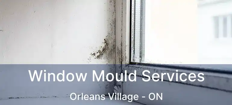  Window Mould Services Orleans Village - ON