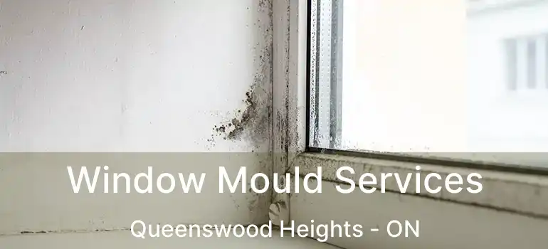  Window Mould Services Queenswood Heights - ON