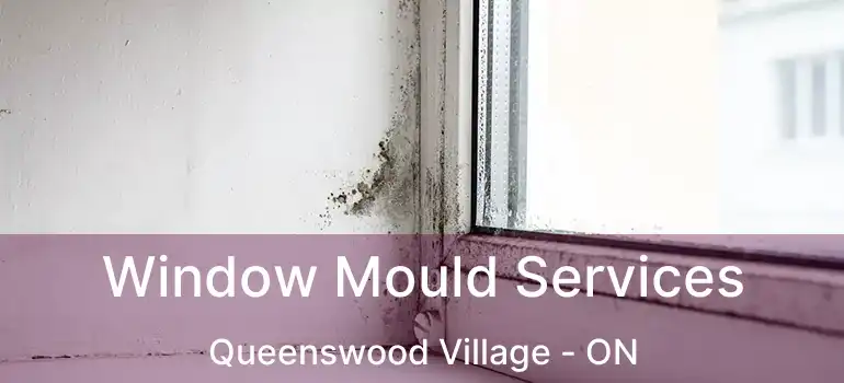  Window Mould Services Queenswood Village - ON