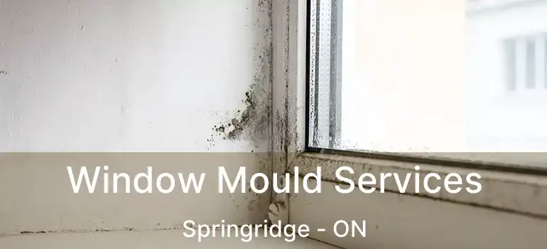  Window Mould Services Springridge - ON