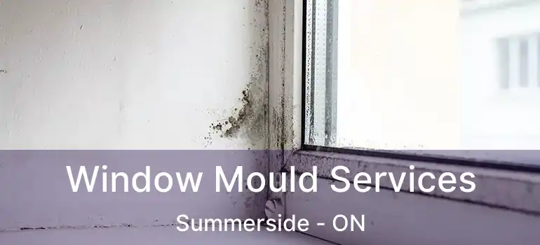  Window Mould Services Summerside - ON