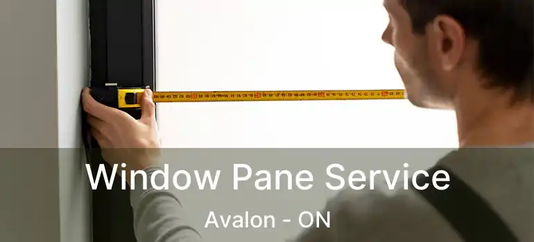  Window Pane Service Avalon - ON