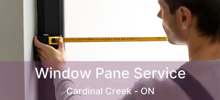  Window Pane Service Cardinal Creek - ON