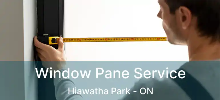  Window Pane Service Hiawatha Park - ON