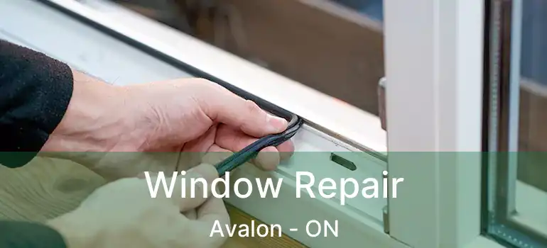  Window Repair Avalon - ON