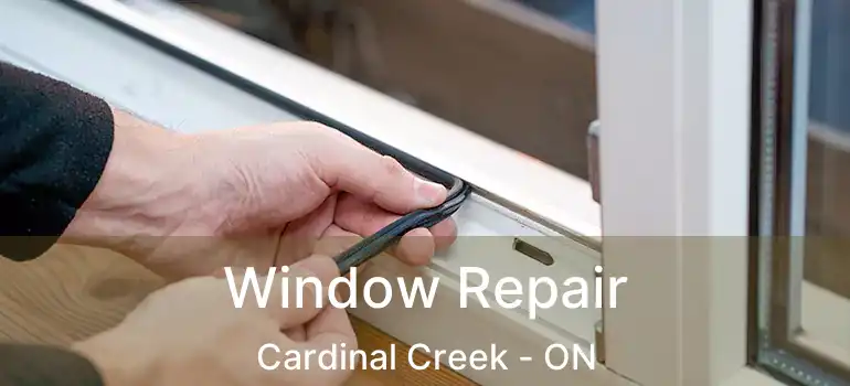  Window Repair Cardinal Creek - ON