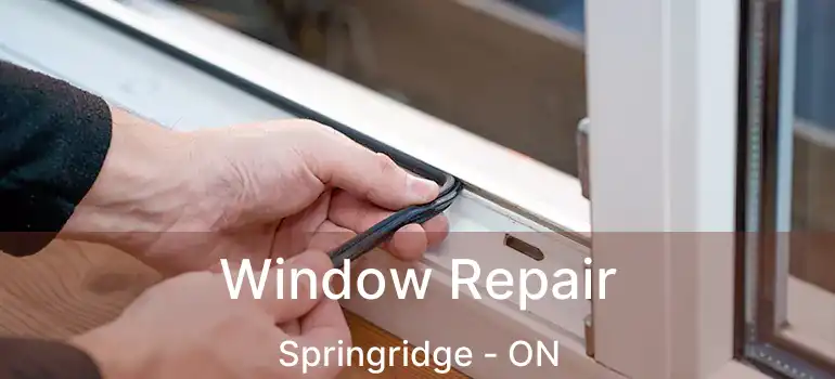  Window Repair Springridge - ON