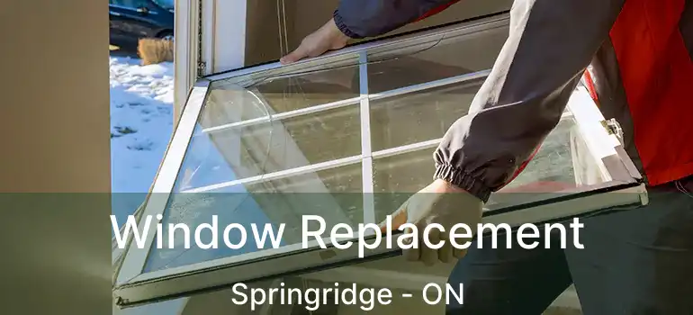  Window Replacement Springridge - ON