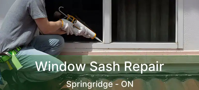  Window Sash Repair Springridge - ON
