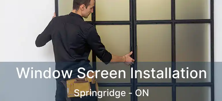  Window Screen Installation Springridge - ON
