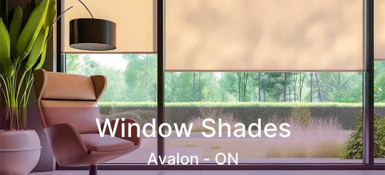  Window Shades Avalon - ON