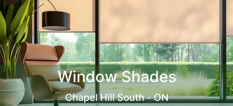  Window Shades Chapel Hill South - ON