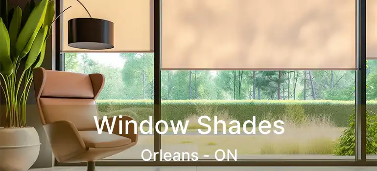  Window Shades Orleans - ON