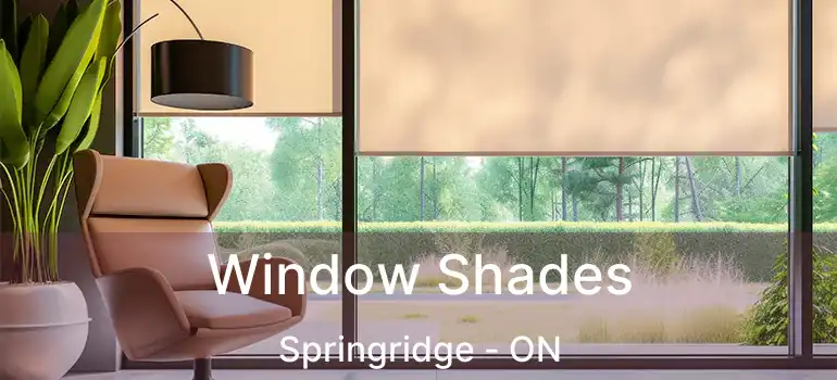  Window Shades Springridge - ON