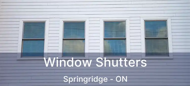  Window Shutters Springridge - ON