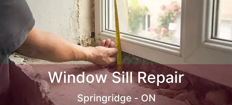  Window Sill Repair Springridge - ON