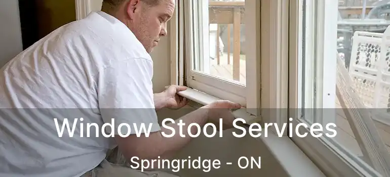  Window Stool Services Springridge - ON