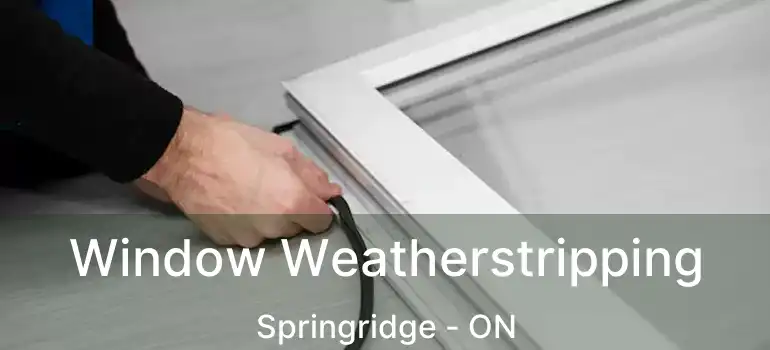  Window Weatherstripping Springridge - ON