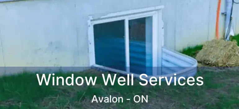  Window Well Services Avalon - ON