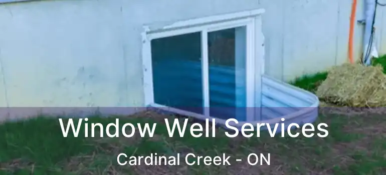  Window Well Services Cardinal Creek - ON