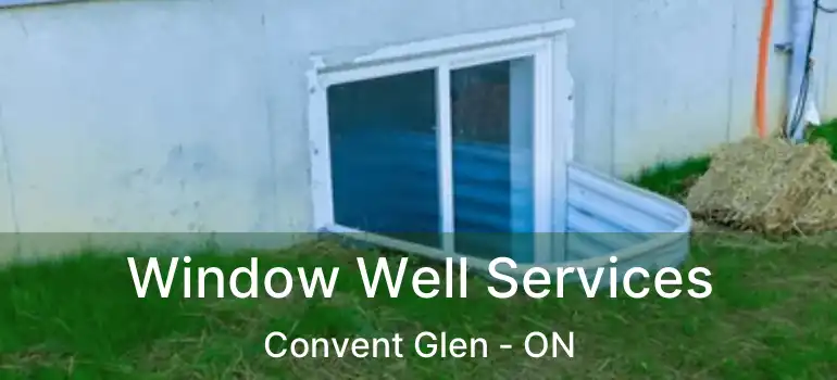  Window Well Services Convent Glen - ON