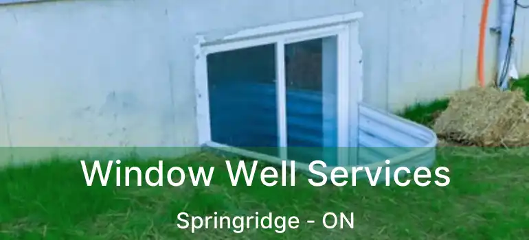  Window Well Services Springridge - ON