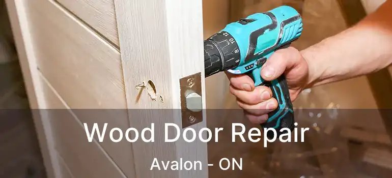 Wood Door Repair Avalon - ON
