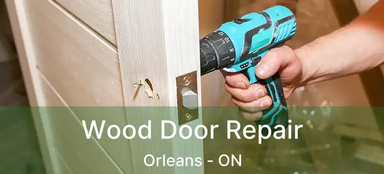  Wood Door Repair Orleans - ON